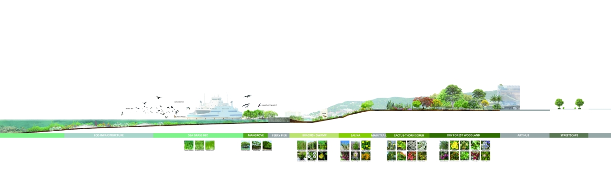 Idealized Transitional Native Ecosystems